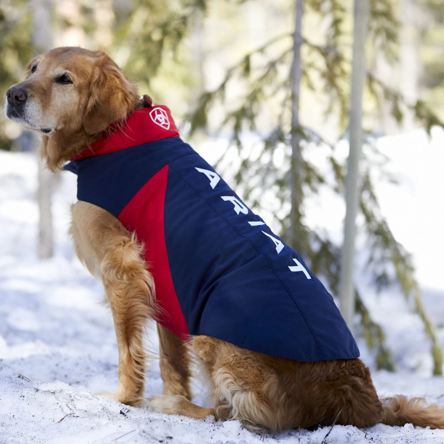Ariat® Softshell Dog Team Jacket 10029168 - Image 2