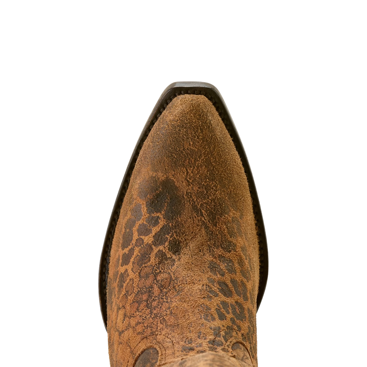 Ariat Ladies Casanova X Toe Distressed Leopard Western Boot 10063993 - Image 2